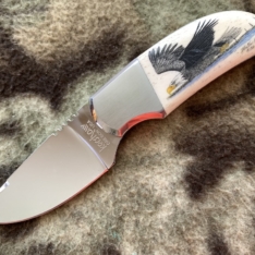 Alexander Scrimshaw Eagle Kershaw 2230 Fixed Blade Japan Circa. 1991 Very Nice W/Sheath